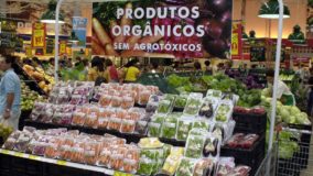 Lei restringe venda de orgânicos para consumidores