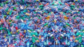 Na luta contra o plástico, França resgata devolução de garrafas