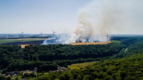Incêndios destroem plantações durante onda de calor na França