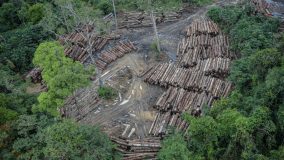 Embaixador da União Europeia defende redução do desmatamento na Amazônia