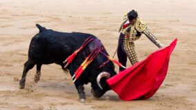 Sinaloa se torna o quinto estado mexicano a proibir touradas