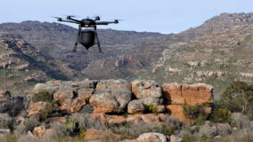 Drones plantam 40 mil árvores por dia para combater desmatamento