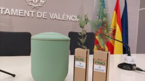Cidade espanhola fornece urnas funerárias compostáveis com mudas de árvores