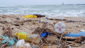 Canadá banirá fabricação e uso de plásticos descartáveis até 2025
