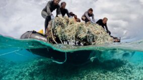 Mergulhadores retiram 39 toneladas de redes de pesca fantasma de recife havaiano